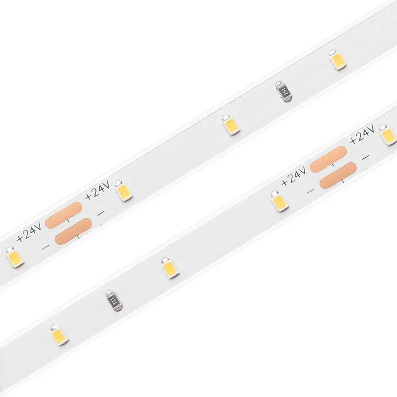 Carnation Series Single-Color High-Power Ip68 Led Strip – 24V 1