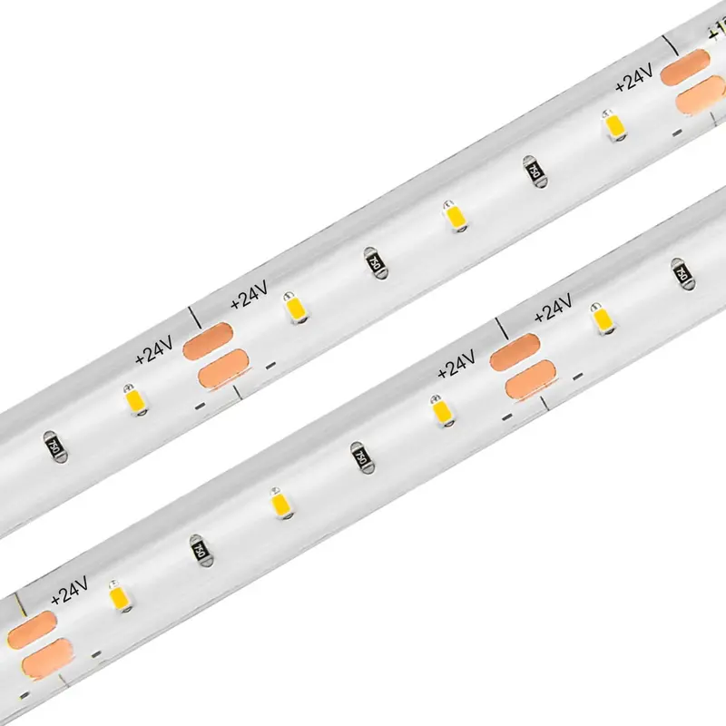 Decor Series Ip68 Outdoor 24V Ambient Led Strip 1