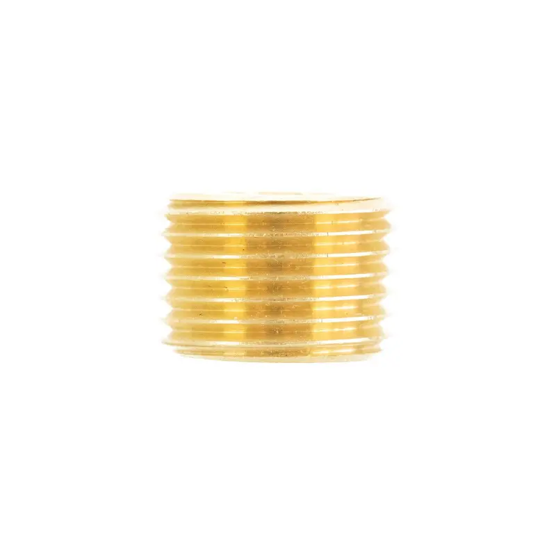 Pulex 1/2-Inch Npt Brass Hex Socket Plug 1